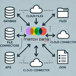 Data format