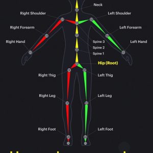 Rigging