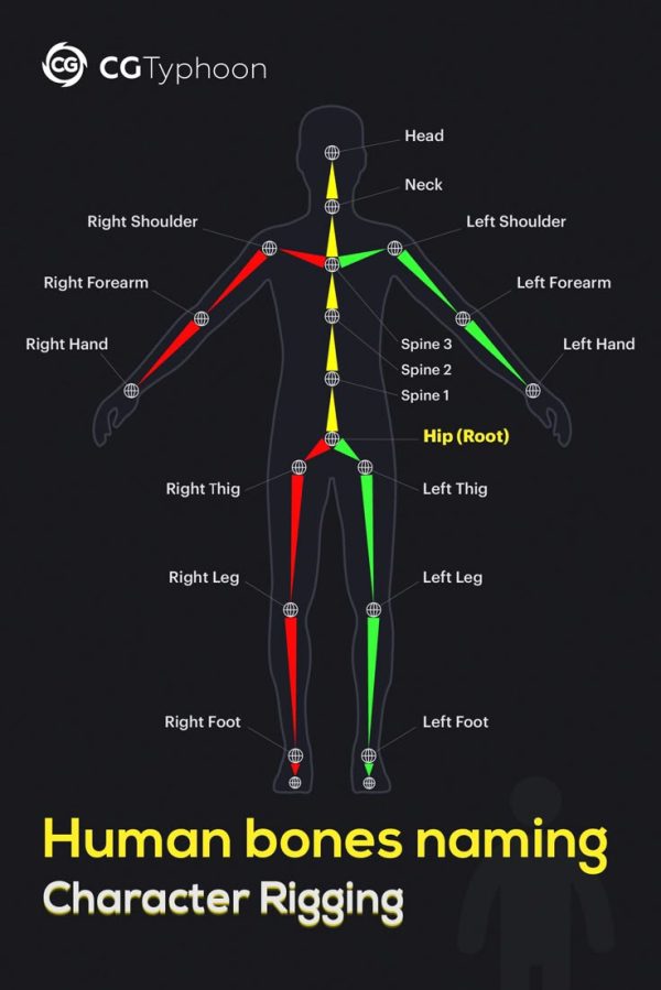 Rigging