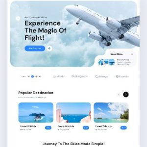 Web design (1)